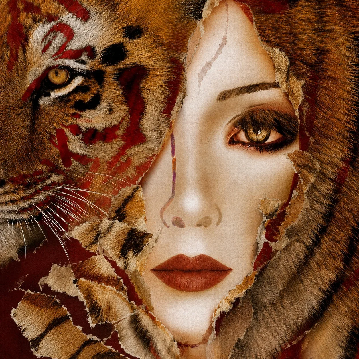 Visage féminin émergeant d’un pelage de tigre aux tons cuivrés, par déchirures successives.